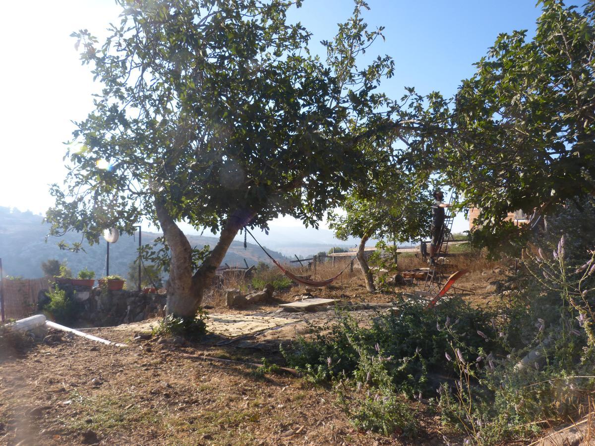 Villa Hosting Lev Kadita Extérieur photo